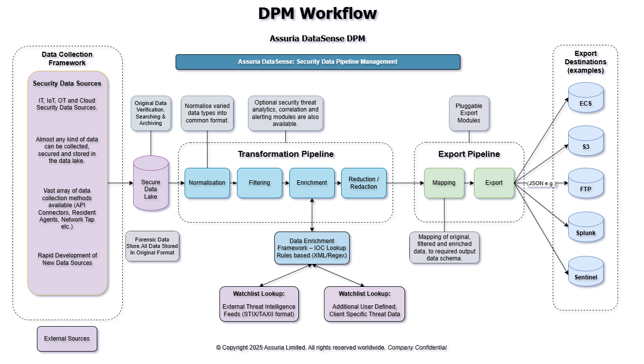 DataSense DPM Workflow